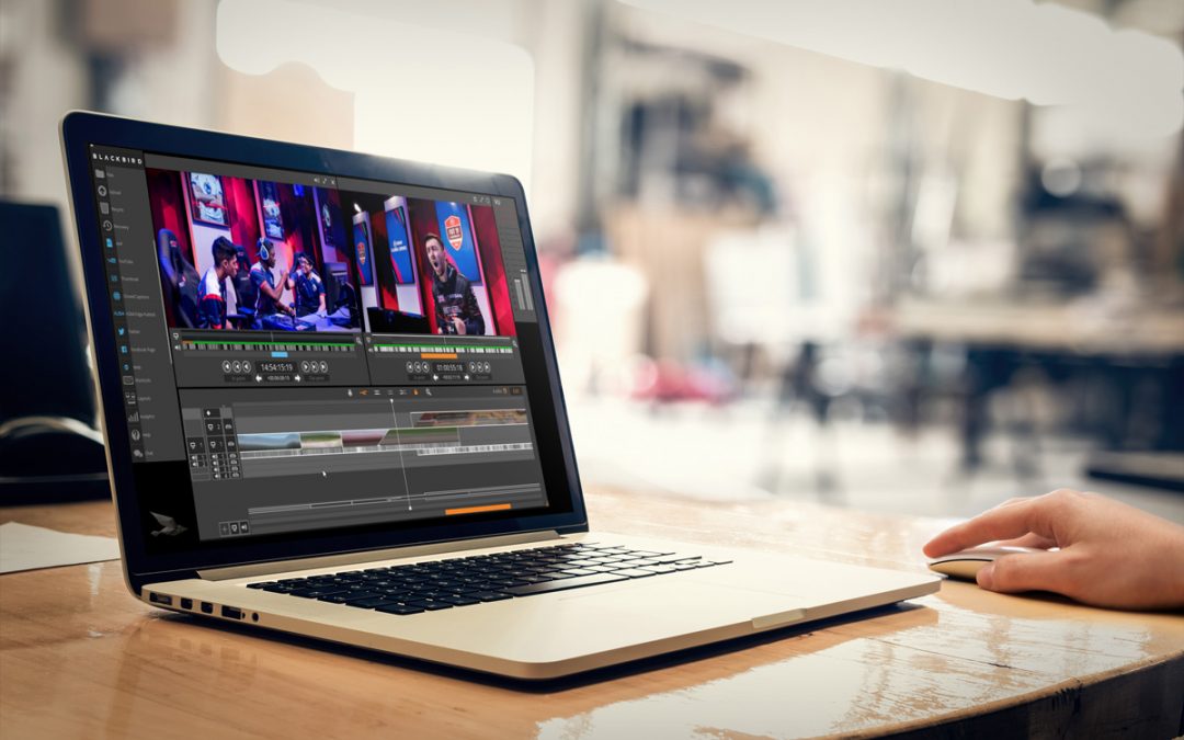 NEW partnership CVE – BLACKBIRD